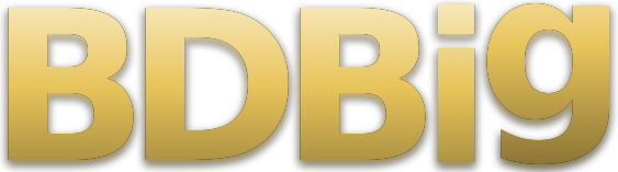 BDBig logo